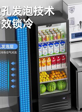 新飞 冷藏保鲜展示啤酒柜单门饮料柜冰柜除雾变色调节立式展示柜