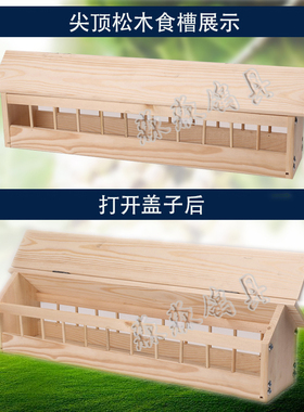 鸽子用品用具鸽舍赛鸽信鸽子食盘食槽自动漏食喂食器盘松实木食盒