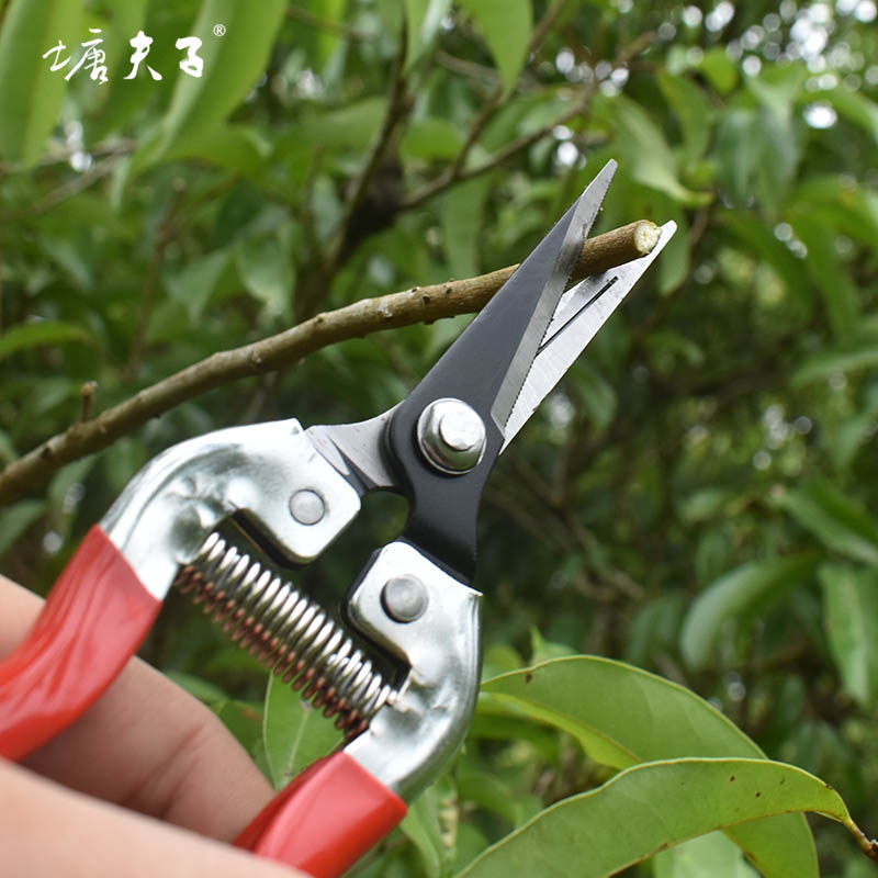 塘夫子锰钢高碳钢修枝剪刀直头摘果树枝剪花修叶锋利耐用可剪铁皮
