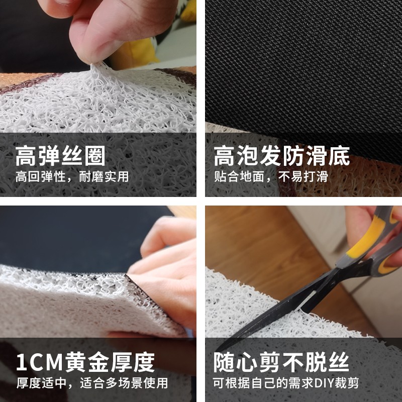 入户门地垫厨房进门门口pvc玄关垫子定制猫咪丝圈脚垫地毯didian