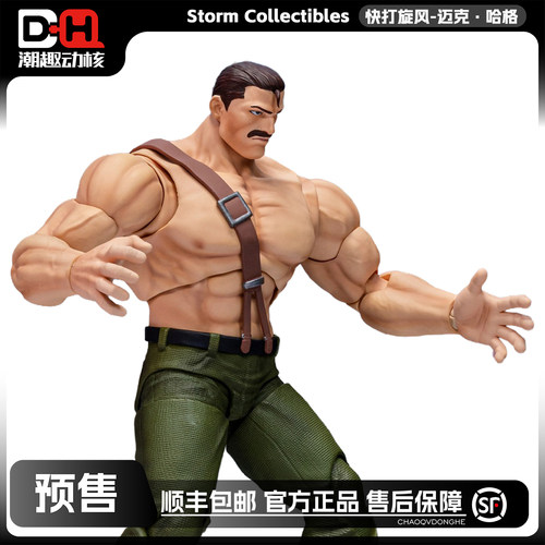 Storm快打旋风迈克·哈格
