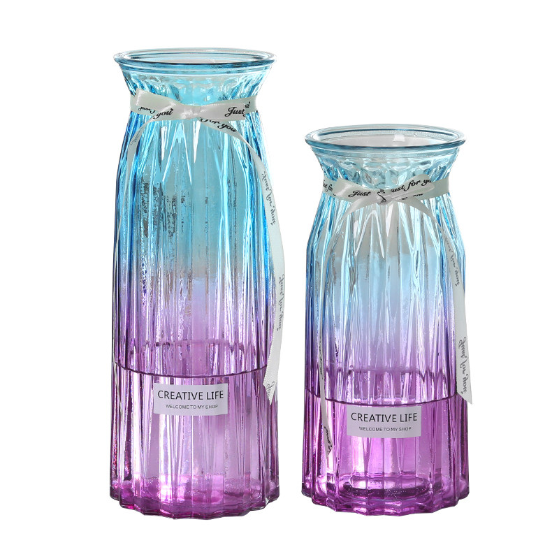 【二件套】大号玻璃花瓶透明水培鲜花富贵竹百合花瓶客厅插花摆件,鲜花速递/花卉仿真/绿植园艺,花瓶,淘宝优惠券,粉丝福利购,淘宝优惠卷