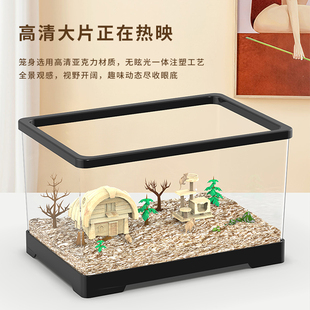 仓鼠笼子便宜大的亚克力透明金丝熊专用60基础笼兔子芦丁鸡饲养箱