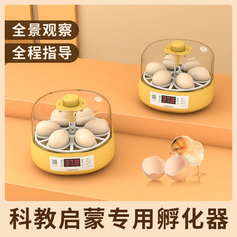 孵蛋器1枚小鸡孵化器小型家用型儿童孵化机鹦鹉迷你全自动孵化箱
