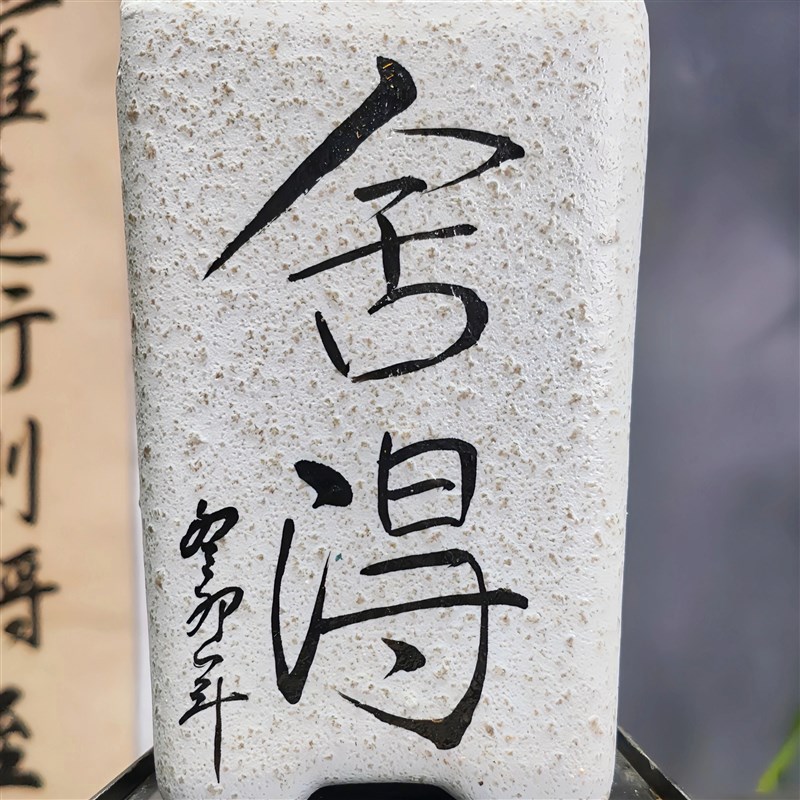 建兰[红草红荷]网红草精品兰花带陶瓷花盆种好好养活浓香型