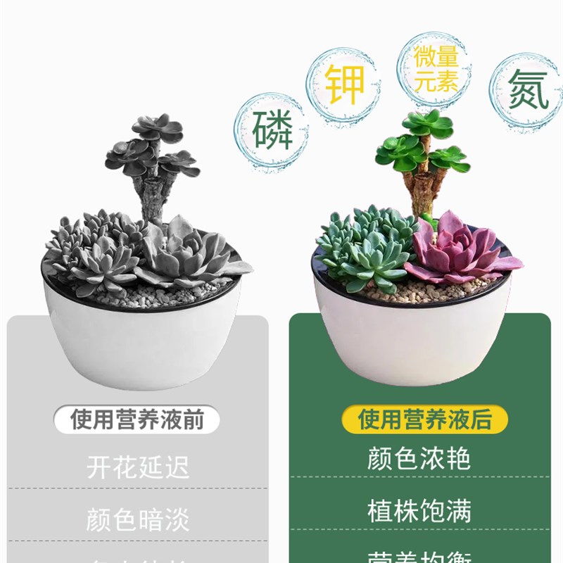 多肉植物肥料专用肥肉肉营养液促生根爆芽肉肉优芽素盆栽 营养土