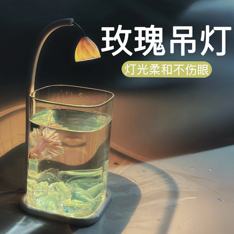 曼尾纱泰国斗鱼观赏鱼专用鱼缸小型玻璃客厅桌面造景摆件创意夜灯
