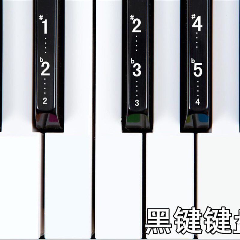 送黑键贴61-54超透明五线谱简谱键位贴电子琴琴贴钢琴键盘贴纸