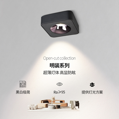 至御超薄明装射灯天花灯吸顶灯客厅卧室服装店cob廊灯过道灯040