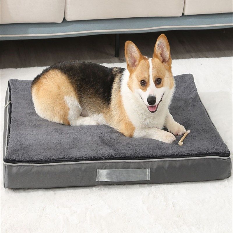 记忆海绵宠物垫加厚狗窝宠物窝泰迪金毛秋冬防水垫可拆洗狗床猫垫,宠物/宠物食品及用品,狗窝/屋/帐篷/沙发,淘宝优惠券,粉丝福利购,淘宝优惠卷