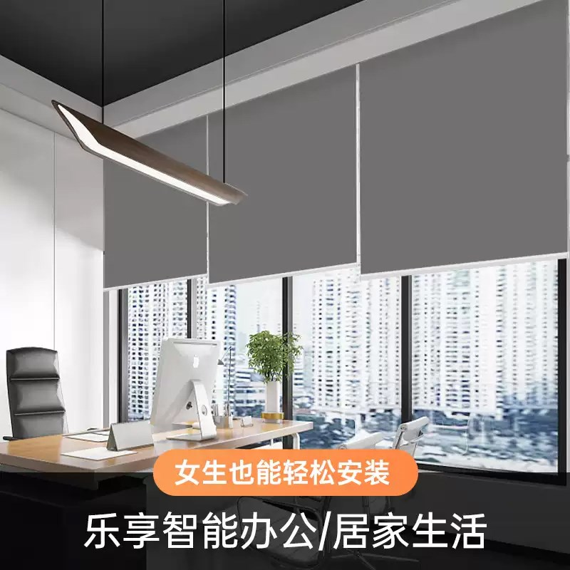 2024新款办公室遮光卷帘遮阳简易窗户遮挡帘卫生间防水窗帘卷拉式