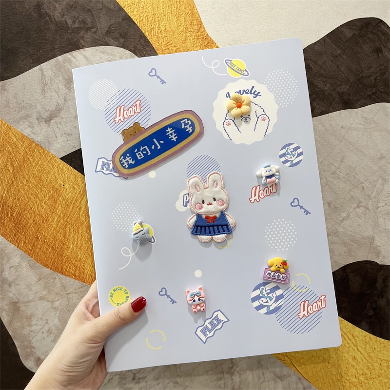 高颜值孕检收纳册孕妈产检收纳单便携资料包a4a5文件夹孕期档案册