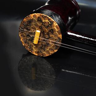 玩具小小孩拉弦乐器成人儿童初学 装饰二胡 表演圆筒式初学者