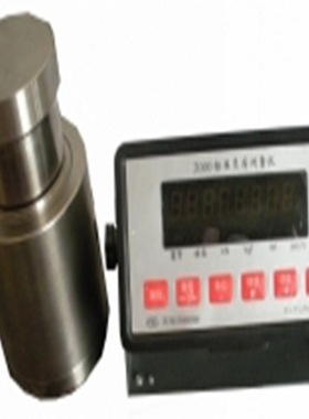 荷载测试仪（500KN） 型号:BD73-SH-1 库号：M234143