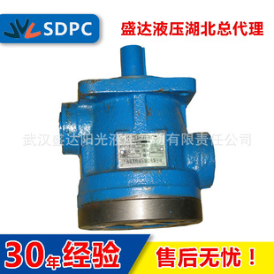 D40 D50 厂家直销 低噪音 叶片泵 液压油泵 中压 上海型