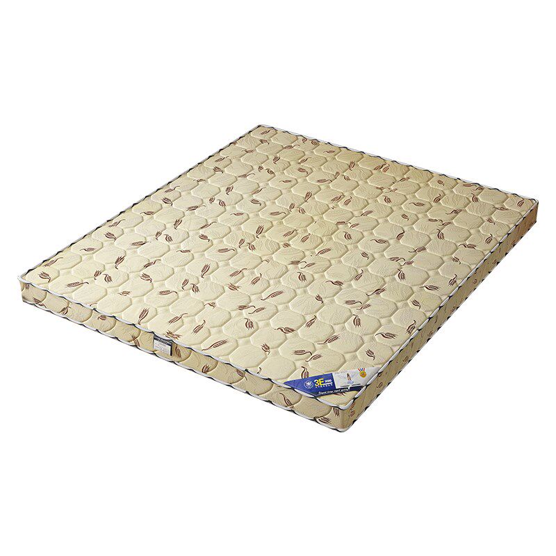 床垫子椰棕家用卧室护腰护脊10公分偏硬棕L榈垫3e环保纯天然薄床