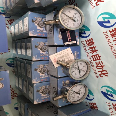 耐震压力表Y-150B/FZ/MF0-1.0MPa膜:HC 上海压力表厂