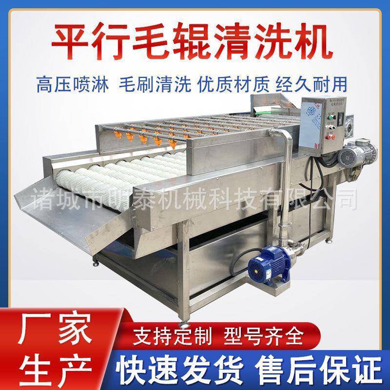 海蛎子平行毛辊清洗机柠檬百香果毛刷洗果机柑橘柠檬清洗分选设