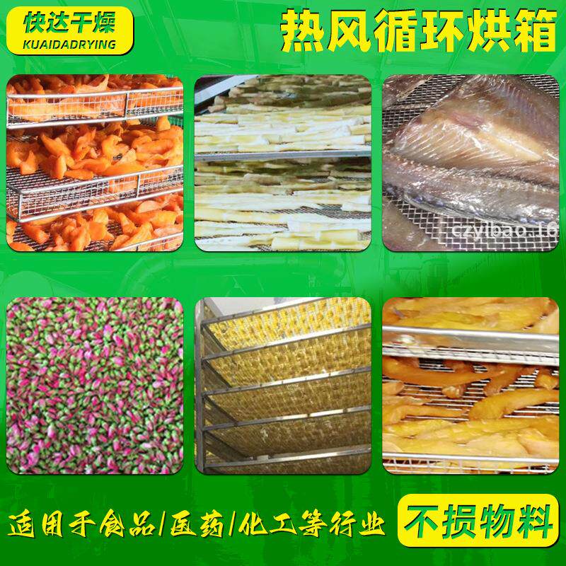 医药氧大型烘干箱 板蓝囊根冲剂热化风循环烘箱 胶TEP热风循环锌