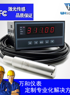 WH311深井水位显示装置