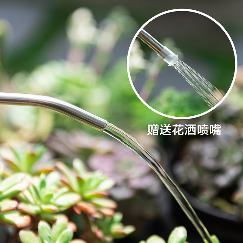 浇水壶家用长嘴洒水壶园艺绿植盆栽多肉养花浇花神器喷壶小淋花壶