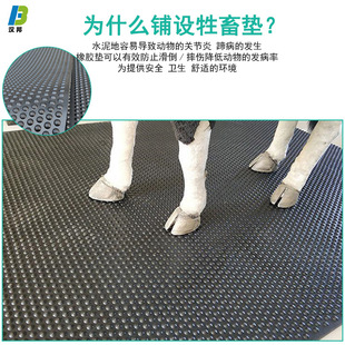 养殖场畜牧橡胶垫马厩垫子防水防滑易清理奶牛场防潮猪仔保温地垫