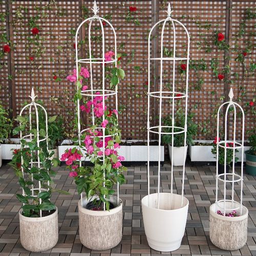 花架月季爬藤架植物攀爬架铁线莲支架包塑铁艺阳台户外植物支撑架