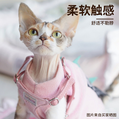 猫咪牵引绳背心式胸背带外出专用防挣脱溜猫绳子栓猫链子宠物用品