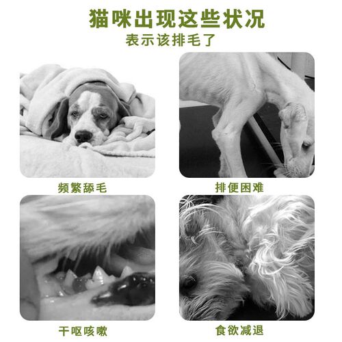 杰羚猫草片化毛球片猫咪去毛球狗狗通用消化吐毛排毛宠物化毛膏