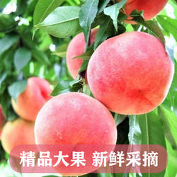 新沂水蜜桃新鲜现摘桃子水果毛桃脆桃整箱包邮当季蜜桃农家自种
