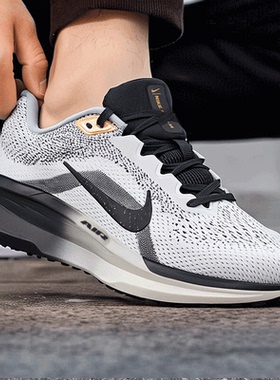 耐克男鞋跑步鞋AIR WINFLO 11 SE基础跑鞋户外训练鞋运动鞋HQ7975