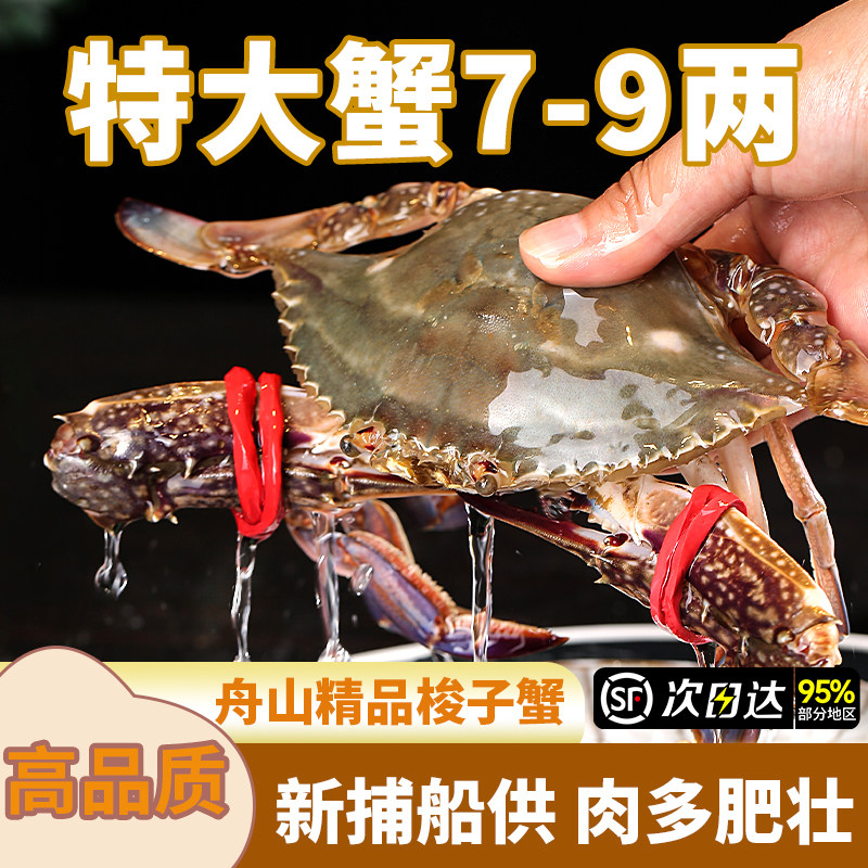 梭子蟹特大野生舟山大螃蟹新鲜肉蟹冻蟹海鲜水产飞蟹白蟹公蟹顺丰,水产肉类/新鲜蔬果/熟食,梭子蟹,淘宝优惠券,粉丝福利购,淘宝优惠卷