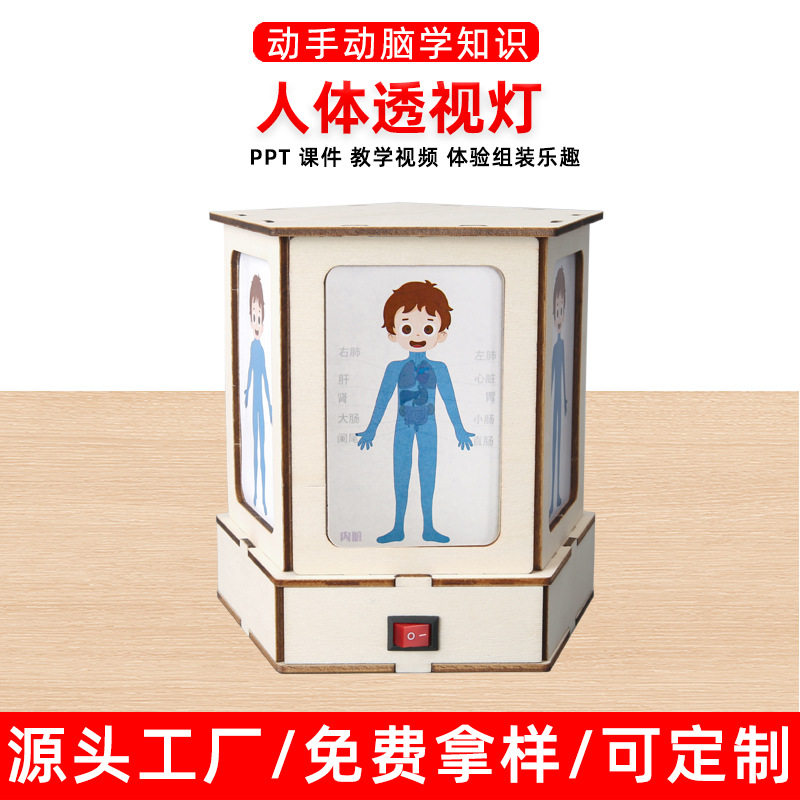 科技小制作人体结构观察灯认识人体器官科学实验steam手工,玩具/童车/益智/积木/模型,科学实验,淘宝优惠券,粉丝福利购,淘宝优惠卷