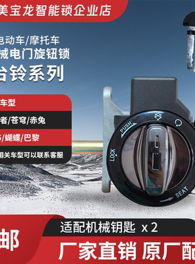 适用台铃电动车追风者米兰蝴蝶巴黎夺冠赤兔新A5苍穹电门旋钮锁