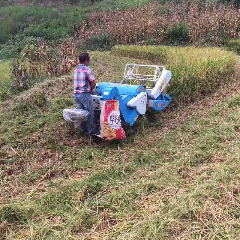 乘坐式小型水稻联合收割机 15马力柴油动力收割机 小型大豆收割机