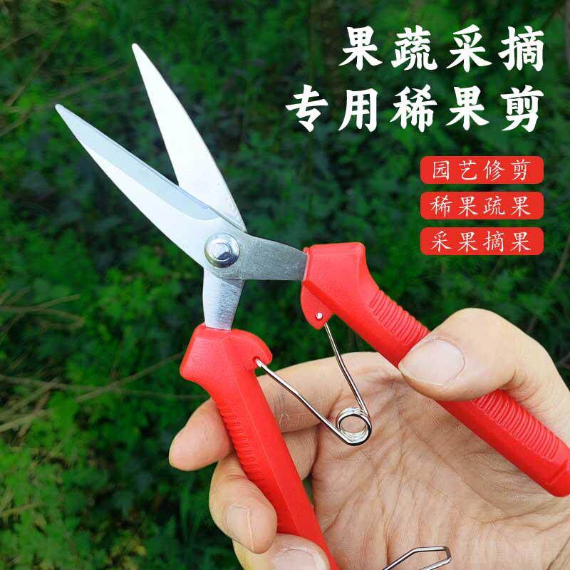 不锈钢园艺摘果修枝万能剪图片