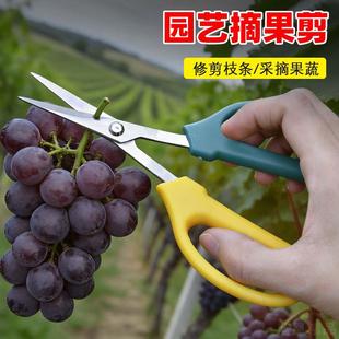 加长稀果剪小枝叶芽剪盆栽修花枝采摘柑橘子花椒葡萄专用水果剪刀