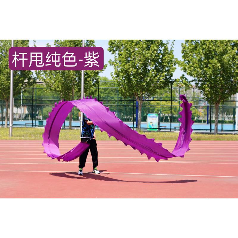 彩带舞龙健身甩杆初学者用