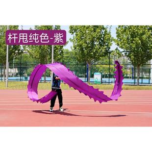 运动健身飘带彩条龙中老年初学者伸缩甩杆龙儿童广场彩带舞龙