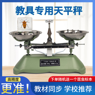 天平秤教具小学初中物理天平称学生家用托盘天平实验室砝码一套装