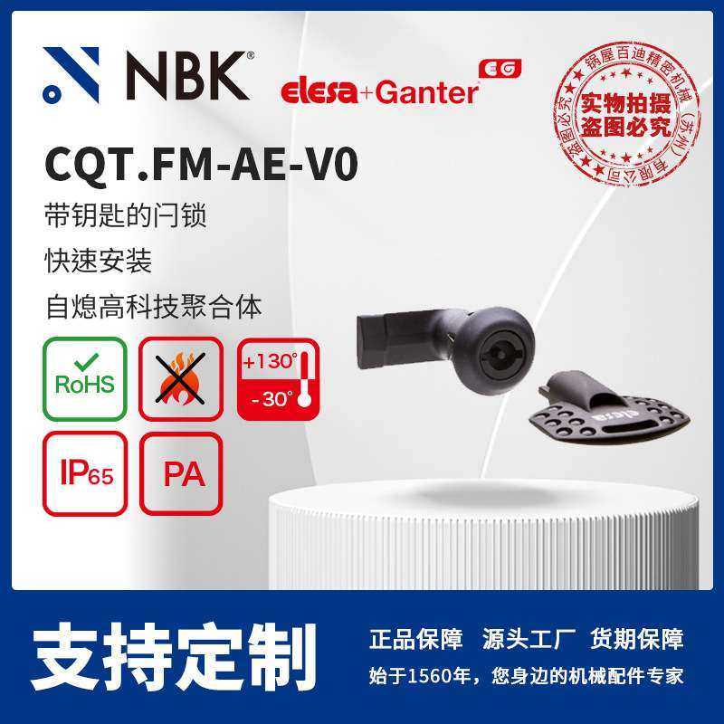 NBK ELESA CQT.FM-AE-V0 带钥匙的闩锁 快速安装自熄高科技聚合体