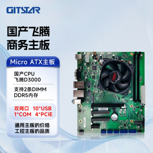 GITSTAR 集特飞腾D3000主板 国产化通用主板GM9-2003-01