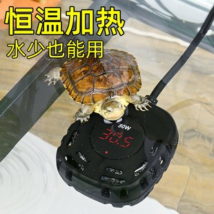 乌龟加热棒e冬季养龟加热器龟缸低水位专用自动恒温小型水温控制