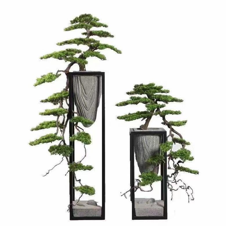 树枝装饰干 干燥树枝壁挂天然多分叉龙枣树枝挂墙衣架手工原木枯