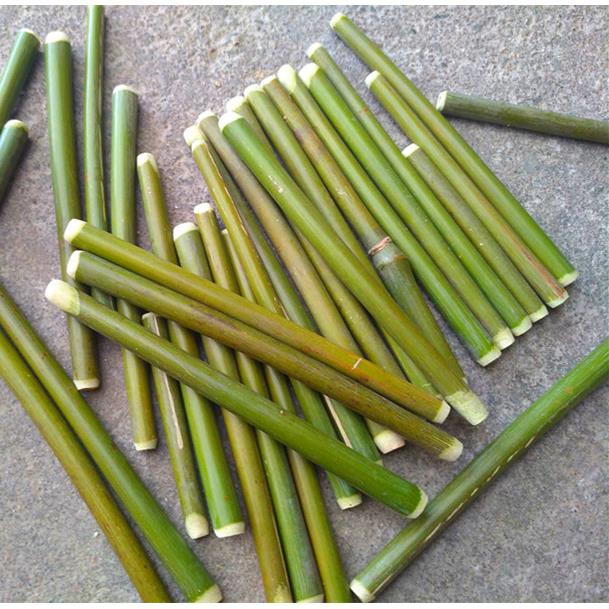 小孩子数数字竹竿竹棍细竹棍竹子拼图玩具特色竹玩具儿童玩具