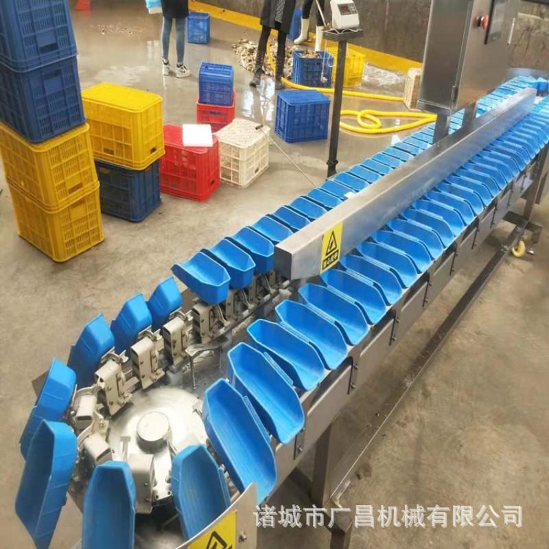 海蛎子重量分拣机生蚝多级重量分选机皮带式动态分级机