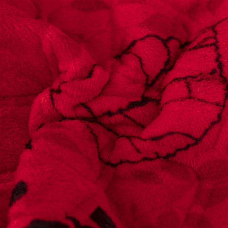 精选冬季加厚盖毯珊瑚牛奶法兰绒毯子加绒冬季床单床垫学生用宿舍,床上用品,床单,淘宝优惠券,粉丝福利购,淘宝优惠卷