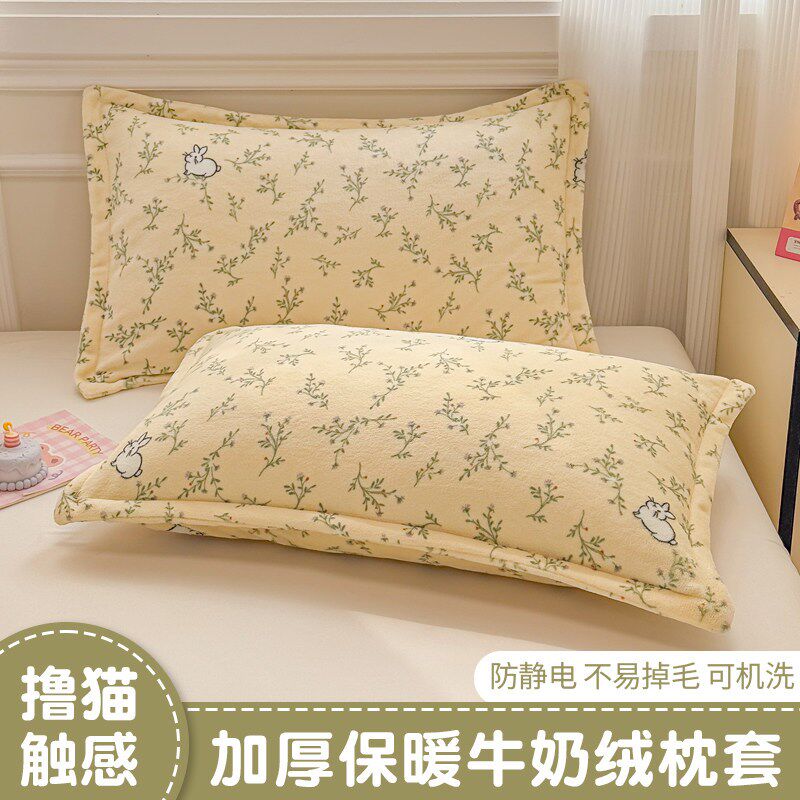 牛奶珊瑚绒枕套一对装48x74cm加厚毛绒枕头套单个枕芯内胆套冬季2