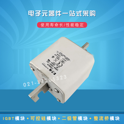 快速熔断器保险丝170M8638 8639 8640 8641 8642 8643 8644 8645