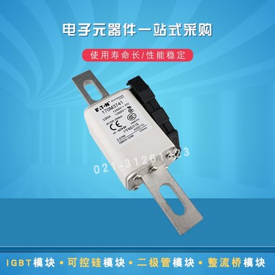 快速保险丝熔断器170M3713 3714 3715 3716 3717  3718 3719 3720